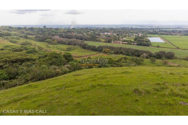 Lotes, Venta, Palmira - $650.000.000