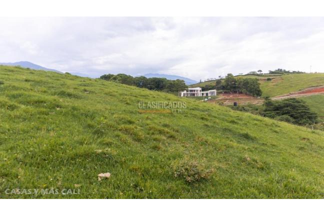 Lotes, Venta, Palmira - $650.000.000