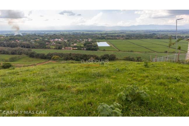 Lotes, Venta, Palmira - $650.000.000