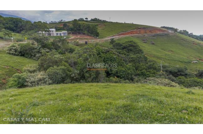 Lotes, Venta, Palmira - $650.000.000