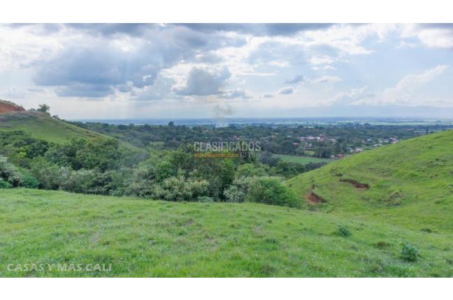 Lotes, Venta, Palmira - $650.000.000