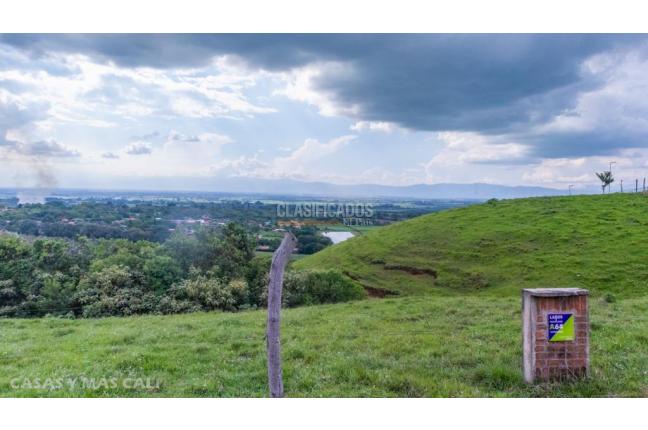 Lotes, Venta, Palmira - $650.000.000