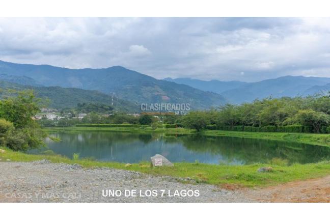Lotes, Venta, Palmira - $650.000.000