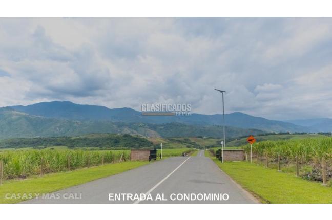 Lotes, Venta, Palmira - $650.000.000