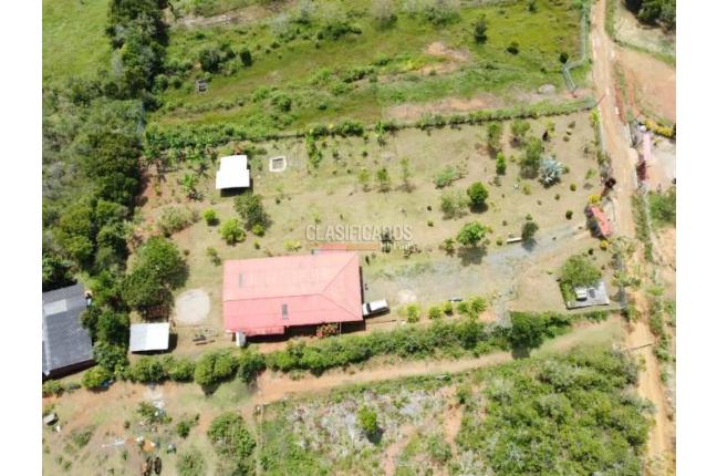 Fincas y Casas Campestres, Venta, Dagua - $385.000.000