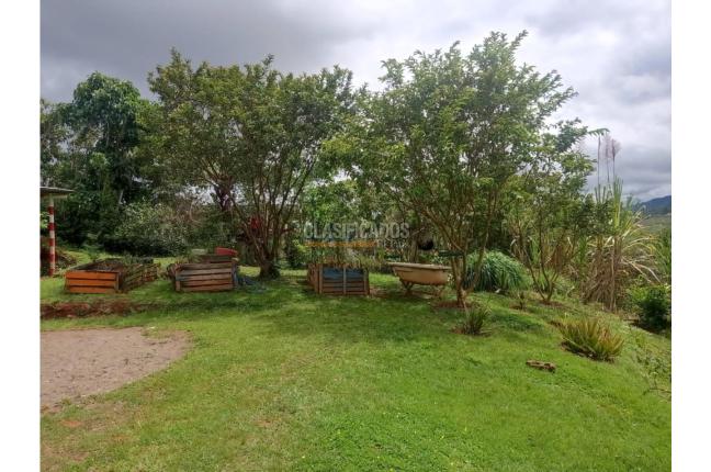 Fincas y Casas Campestres, Venta, Dagua - $385.000.000