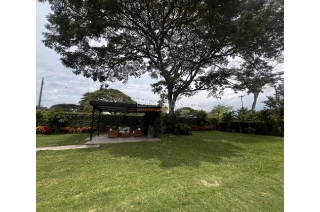 Casas, Venta, Palmira - $1.250.000.000