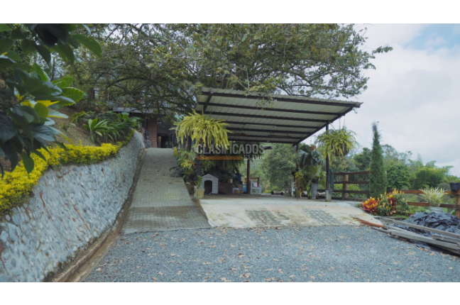 Casas, Venta, Palmira - $980.000.000