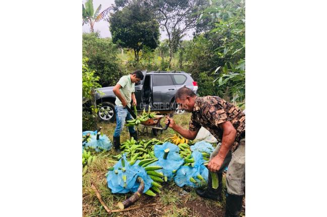 Fincas y Casas Campestres, Venta, Calima (Darién) - $1.850.000.000