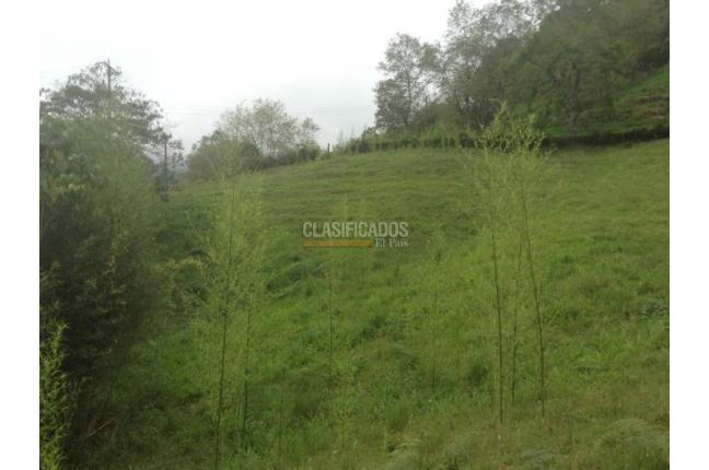 Lotes, Venta, Dagua - $455.000.000