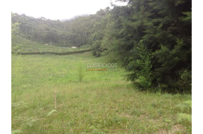 Lotes, Venta, Dagua - $455.000.000