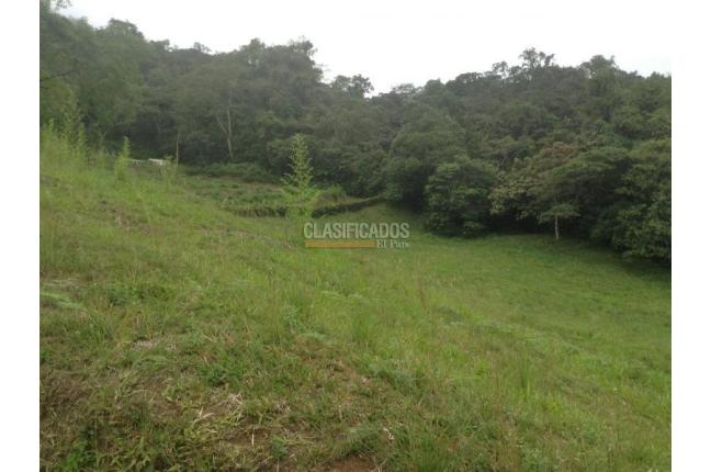 Lotes, Venta, Dagua - $455.000.000