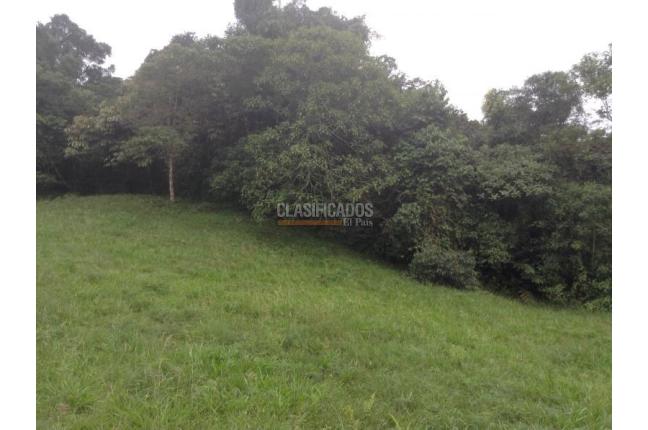 Lotes, Venta, Dagua - $455.000.000