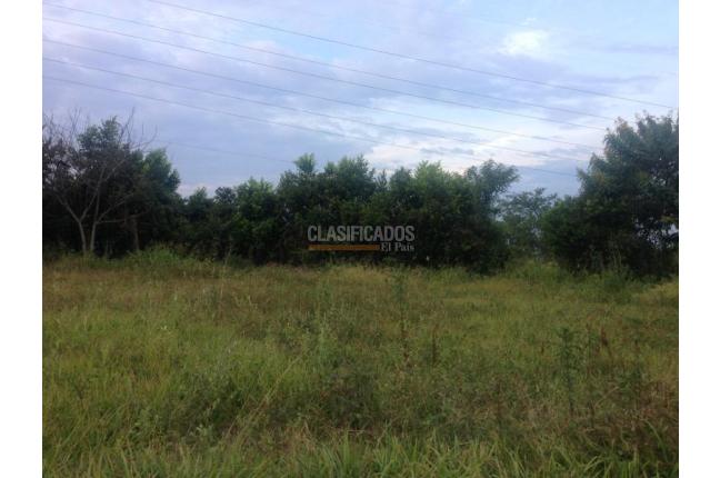 Lotes, Venta, Pance - $3.037.000.000