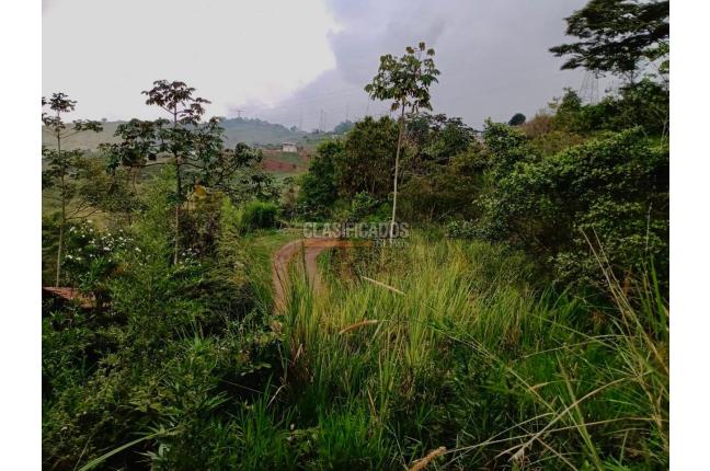 Lotes, Venta, Cristo Rey - $290.000.000