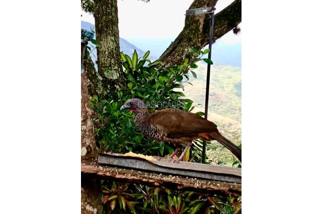 Lotes, Venta, Cristo Rey - $290.000.000