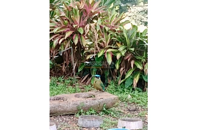 Lotes, Venta, Cristo Rey - $290.000.000