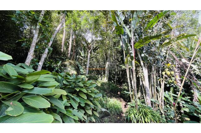 Fincas y Casas Campestres, Venta, Dapa - $1.447.000.000