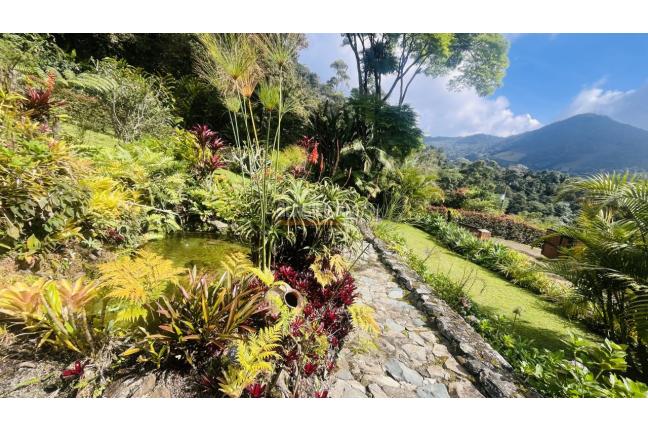 Fincas y Casas Campestres, Venta, Dapa - $1.447.000.000