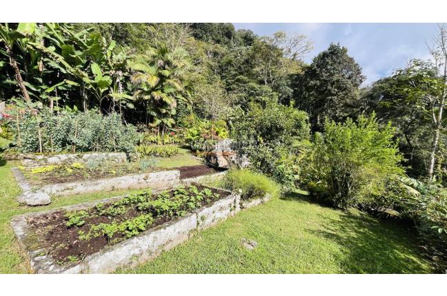 Fincas y Casas Campestres, Venta, Dapa - $1.447.000.000