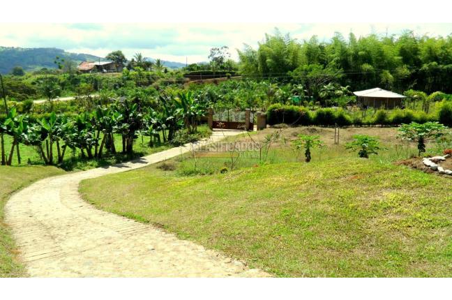 Fincas y Casas Campestres, Venta, Calima (Darién) - $850.000.000
