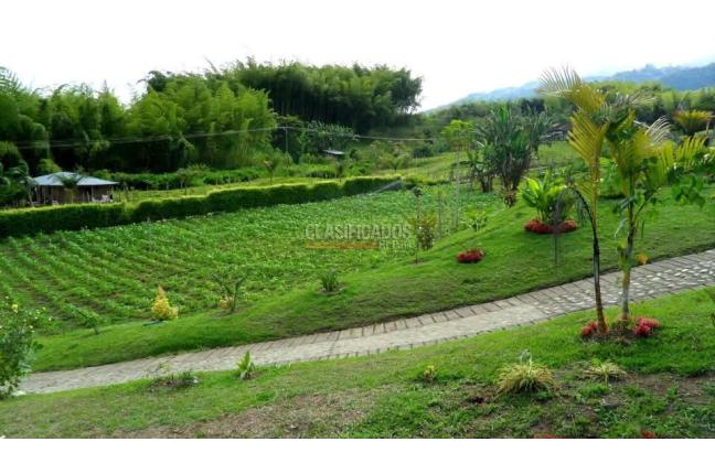 Fincas y Casas Campestres, Venta, Calima (Darién) - $850.000.000