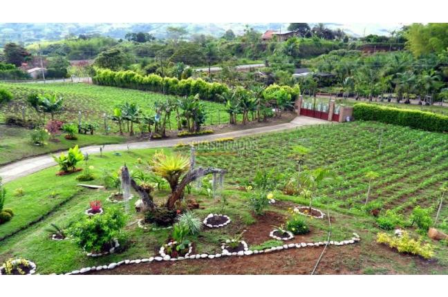 Fincas y Casas Campestres, Venta, Calima (Darién) - $850.000.000