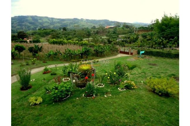 Fincas y Casas Campestres, Venta, Calima (Darién) - $850.000.000