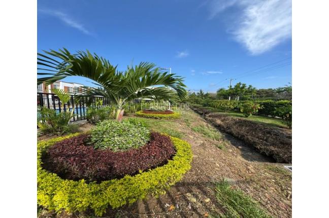 Casas, Venta, Ciudad Pacifica - $440.000.000