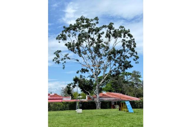 Casas, Venta, Jamundí - $750.000.000