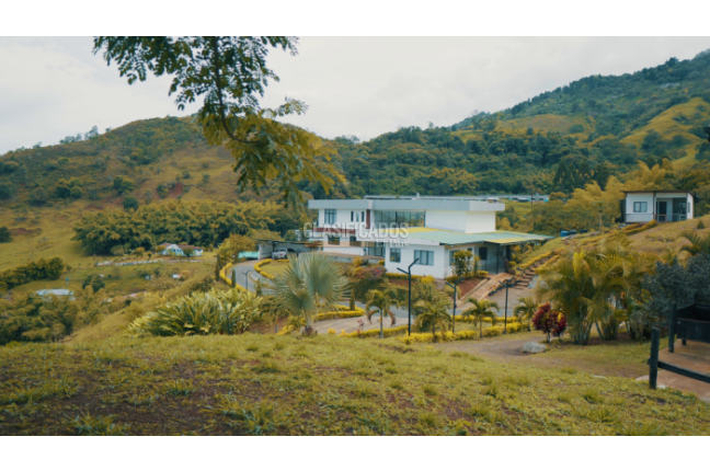 Fincas y Casas Campestres, Venta, Palmira - $1.400.000.000