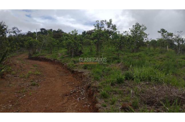 Lotes, Venta, La Cumbre - $120.000.000