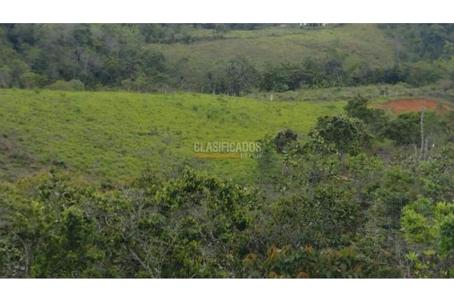 Lotes, Venta, La Cumbre - $120.000.000
