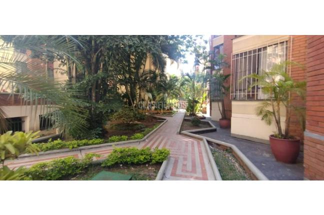 Apartamentos, Venta, Santa Anita - $530.000.000