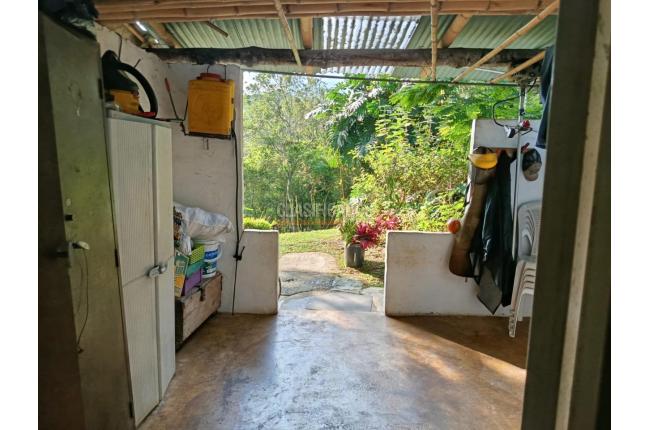 Fincas y Casas Campestres, Venta, Pance - $1.600.000.000