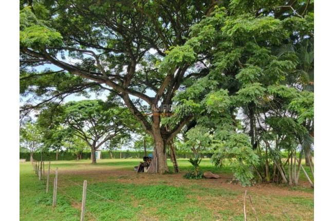 Lotes, Venta, Candelaria - $6.000.000.000