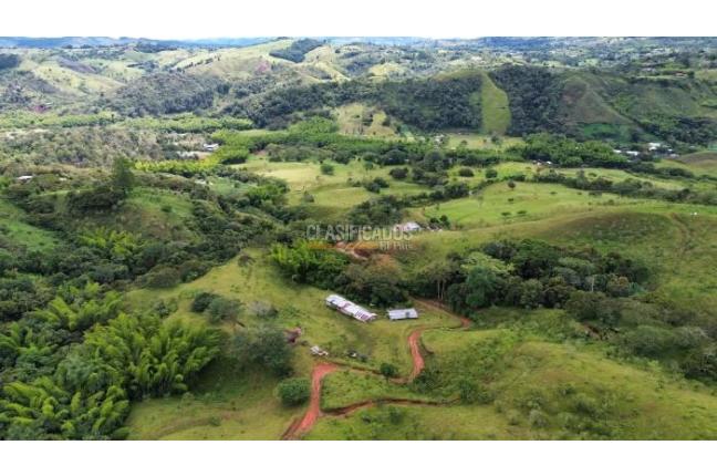 Fincas y Casas Campestres, Venta, La Cumbre - $5.511.000.000