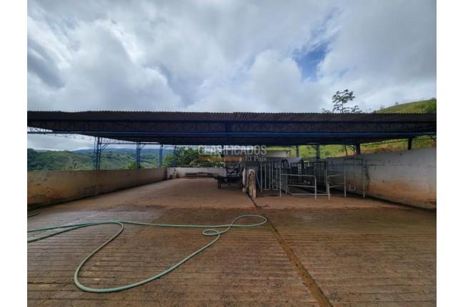 Fincas y Casas Campestres, Venta, La Cumbre - $5.511.000.000