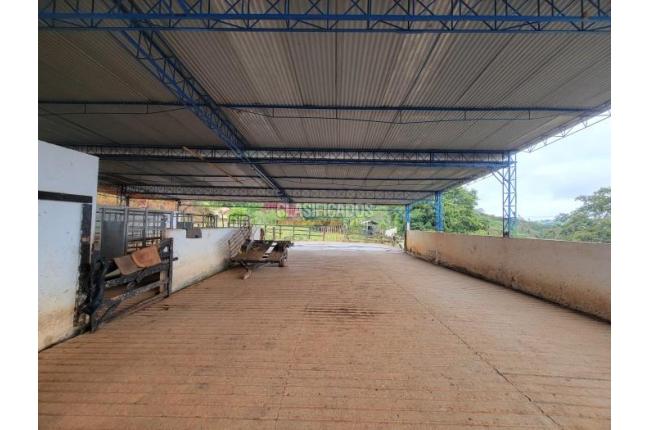 Fincas y Casas Campestres, Venta, La Cumbre - $5.511.000.000