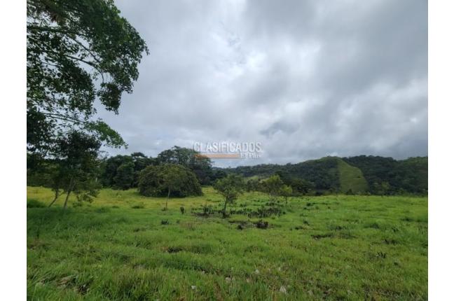 Fincas y Casas Campestres, Venta, La Cumbre - $5.511.000.000