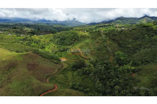 Fincas y Casas Campestres, Venta, La Cumbre - $5.511.000.000