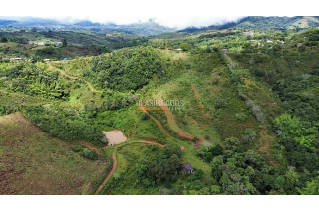 Fincas y Casas Campestres, Venta, La Cumbre - $5.511.000.000