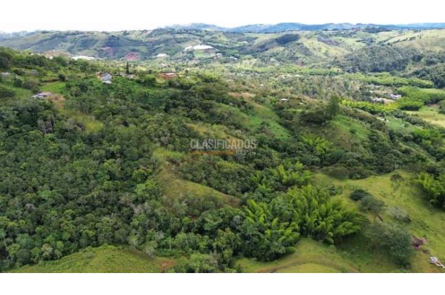 Fincas y Casas Campestres, Venta, La Cumbre - $5.511.000.000