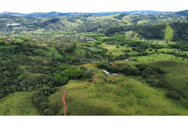 Fincas y Casas Campestres, Venta, La Cumbre - $5.511.000.000