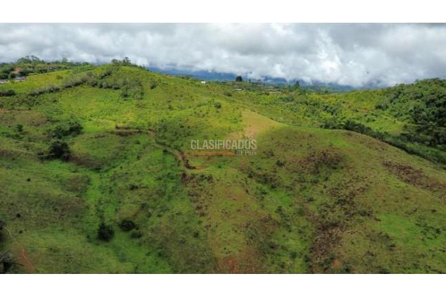 Fincas y Casas Campestres, Venta, La Cumbre - $5.511.000.000