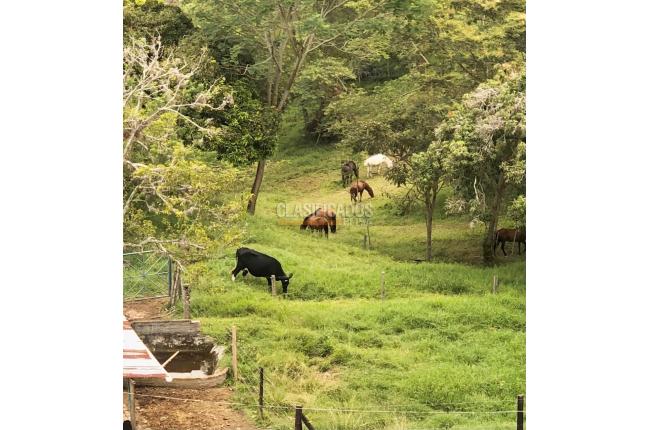 Fincas y Casas Campestres, Venta, Obando - $1.350.000.000