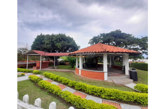 Casas, Alquiler, Pereira - $8.000.000