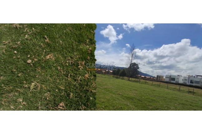 Fincas y Casas Campestres, Venta, Chía - $11.700.000.000