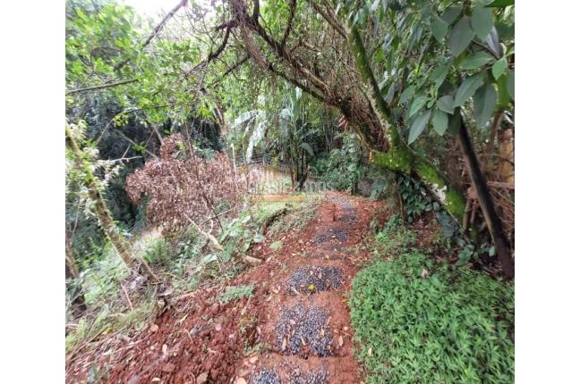 Lotes, Venta, Bella Suiza - $480.000.000