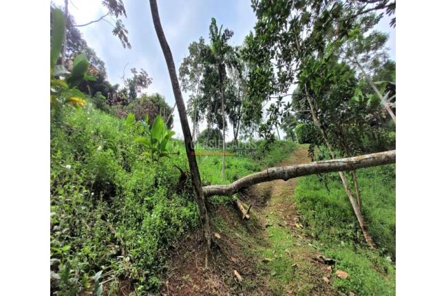 Lotes, Venta, Bella Suiza - $480.000.000